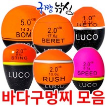 구짱낚시 바다구멍찌 루코지누 플로트 구멍찌/갯바위낚시 구멍찌 고품격프리미엄 플로트, 루코지누 바다구멍찌, 5.스팅-2.0호(9.5g)