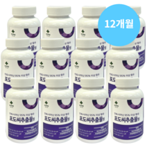 포도씨 안토시아닌 추출물 영양제 눈건강 폴리페놀 유산균 정, 12개(12개월)