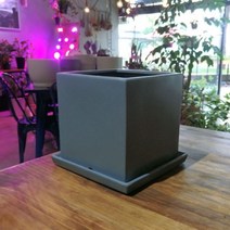 제이엘 모던 도기화분 무광 정사각 진그레이 8x8x9cm 04596-045965ea, jl365mall 본상품선택
