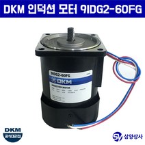 DKM 인덕션 모터 9IDG2-60FG 단상 220V 12파이 감속기타입