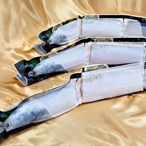 제주 통갈치 왕특 6미 (약 3.6kg)