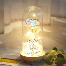 발트728 문구제작 홀로그램장미 기념일 선물 LED유리돔 글라스돔, 작은아이/홀로그램장미/당신의삶을응원합니다