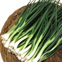 [산정] 손으로깐 싱싱한 깐쪽파1단 (1kg내외), 깐쪽파 1단(1kg내외)