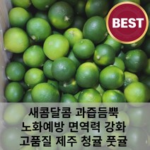 고품질 새콤달콤 과즙 듬뿍 당도높은 제주 서귀포 청귤 풋귤 3kg 5kg 10kg 청귤청 청귤주스, 5kg (A급 고르게), 1개
