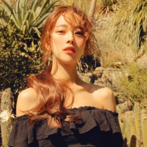 [핑크에이지] [포니즈테일-롤링] Moly 몰리 (매트 모스트사), 직접입력5:골드브라운 A