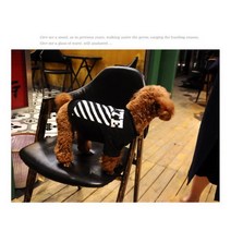 강아지 커플룩 세트 펫피크닉 여름 가을, 옵션5 L[중형]