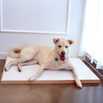 반려동물 여름매트 고양이 대리석 편백나무 강아지 쿨매트, 사용안함, 밝은계열