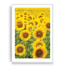 민트마켓 해바라기G 금전운에 좋은 해바라기 액자, 화이트