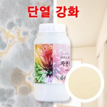 천연 단열 페인트 자연정원 항균 곰팡이 결로 예방 1.5kg, 베이지