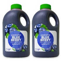 스위트컵 블루베리 농축액 2kg 2개, 단품