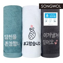 송월타올 고맙습니다 항균타올, 10장, 터키스