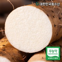 유기농산마 추천 TOP 9