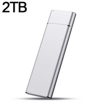 휴대용 외장 하드 ssd Portable SSD High Speed 2TB 1TB 500GB Type-C External Hard Drive 4TB 16TB USB 3.1 Sto, 19 Sliver 2TB