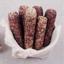 감동 옥과농협 찐 흑찰옥수수 특품 3개입 X 4팩 15cm 내외 (냉동)