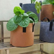 부직포 화분 베란다 텃밭 대파 키우기 2갤런 20x20, 2화분2갤런-그레이