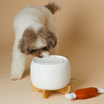 페키움 고양이 강아지 정수기 자동 급수기 저소음 올인원 세트, 페키움 자동 정수기 올인원패키지 (야옹이)