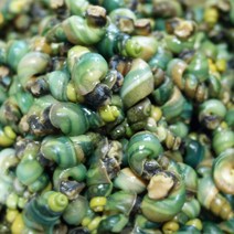 정옥다슬기 지리산 1급수 자연산 깐다슬기 200g, 4팩