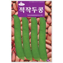콩류/황기 씨앗 택1 (황기 홍화 백작두콩 얼룩이강낭콩 적작두콩 스파클완두), 104번 적작두콩 10립