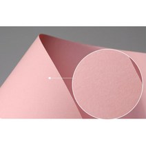 A4색지 120g 컬러 아트지 E12 분홍색 20매 지제품