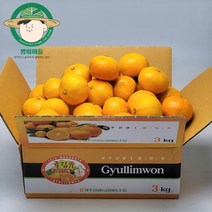 브랜드없음 [방씨아들]제주 감귤 귤림원 최상급 타이백 고당도 로얄과 2.5kg(2S/S/M), 단품없음