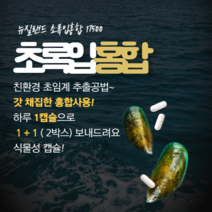 뉴질랜드 초록입홍합 초록홍합 식약처인증 직구 고함량 초록잎 오일 추출물 캡슐 갱년기 손가락관절 연골 무릎 뼈건강 영양제 그린홍합 식물성 베지캡슐 비타민D 비가열 동결건조 초임계12