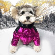 강아지 의류 패딩 소형견 중형견 디자이너 애완견 의류 겨울용 따뜻하고 두꺼운 스와아날 벨벳 강아지 재, 02 빨간_03 L