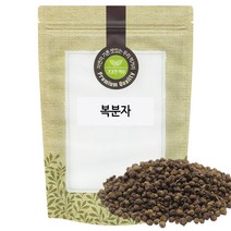 복분자 300g 국산 국내산, 단품