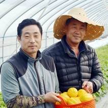 델푸릇 우등생 성주참외 고당도 꿀참외 산지직송, 5kg 정품 로얄과(16~22과)