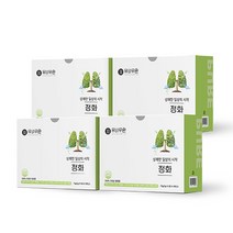 유비무환 정화 기관지 폐 목 좋은 음식 도라지 금은화 환, 75g, 4개