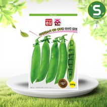 완두씨앗 500g 준완두 완두콩 씨앗 조생종, 단품