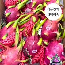 한정판매 새벽배송 당일배송 베트남 용과 1.2kg 5kg 프리미엄 초고당도 과일 수입과일, (특1등급)백 용과 1.2kg (3수)
