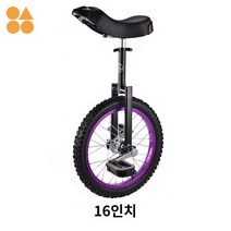 초보용 입문용 외발 밸런스 자전거, 16인치 칼라 퍼플