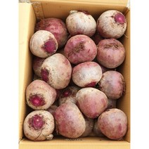[향기농장] 제주 레드비트 햇비트 겨울비트 최상품 3kg 5kg 10kg, 5kg(최상품), 1개