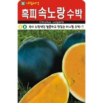AR 흑피 속노랑수박 미니형 수박 씨앗5립