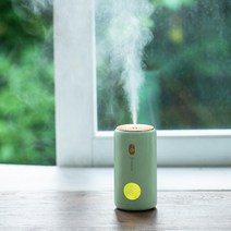 DFMEI 새로운 차량용 가습기 USB 미니 가정용 테이블 에어포그 디퓨저 선물, DFMEI 그린(플러그드)