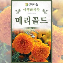 다농 메리골드 야생화 씨앗 100립, 상세 설명 참조
