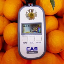 제주 카라향 2kg 3kg 5kg 가정용 선물세트, 카라향 5kg 로열과