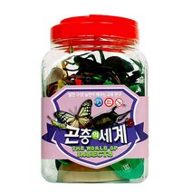SH라이온 동물의 왕국 동물 곤충 공룡 어류 조류 파충류 모형 (중형) 교육용 동물 완구, 곤충의 세계