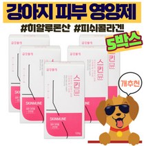 강아지 피부 영양제 곰팡이성 피부병 피부염 습진 애견 피부 피모 영양제 강아지 아토피 피부케어 반려견 피부 피모 강아지 털빠짐 영양제 뉴트리션 트릿 금강불개, 5개, 피부+피모