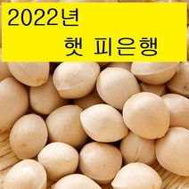 깐은행10kg TOP 제품 비교