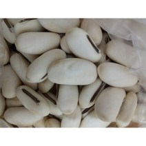 작두콩씨앗 500g/도두콩/국내채종종자