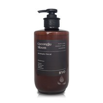 려 자양윤모 탈모증상케어 경주달밤 샴푸 585ml, 1개