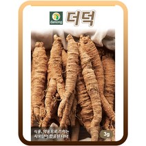 더덕씨앗30g 사삼 백삼 숨은보약 사포닌함유