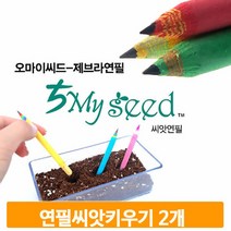 연필 씨앗 키우기 2개 식물가꾸기 씨드 세트 인테리어 준비물 유치원 교구