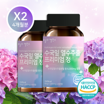 오늘의밸런스 수국잎 열수 추출물 프리미엄 정 1000mg 60정, 60정 X 2개 4개월분