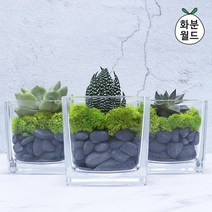 화분월드 흑자갈(소포장) 1kg, 흑자갈0호(1kg)