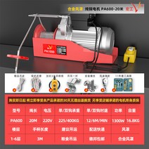 1톤 호이스트 전기 220V 0.5톤 천장 크레인 소형 공업, 300-600kg 20미터