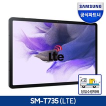 삼성전자 갤럭시탭S7 FE 태블릿PC 5G 128GB, 미스틱 블랙, Wi-Fi+Cellular