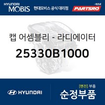 라디에이터 캡 (25330B1000) 그랜저IG 벨로스터 쏘나타LF 아반떼 아슬란 제네시스 I30 EQ900 G70 G80 G90 싼타페