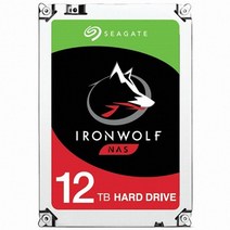 씨게이트 아이언울프 NAS HDD, 12TB, ST12000VN0008